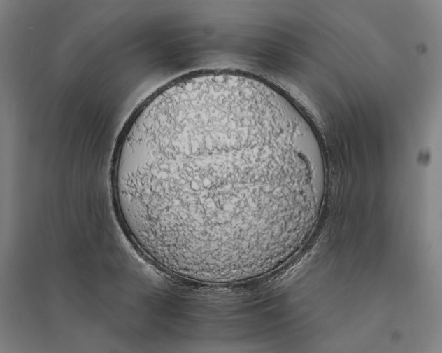 X0000094360943200711301422