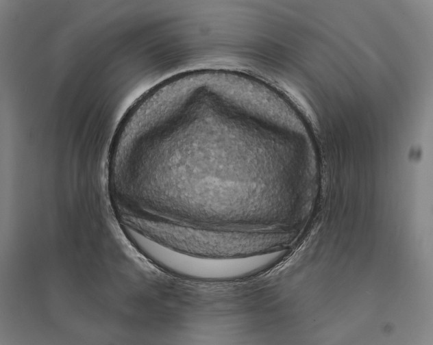 X0000094360944200711301422