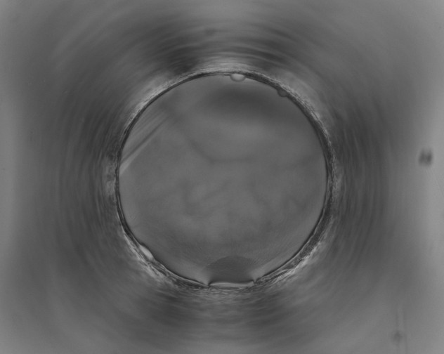 X0000094360945200711301422