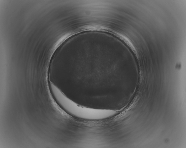X0000094360946200711301422