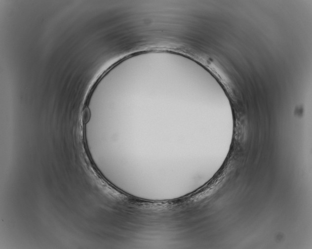 X0000094360948200711301422