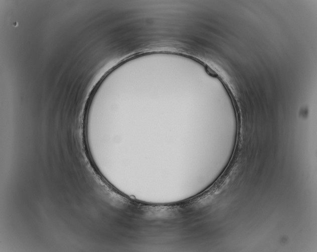 X0000094360949200711301422