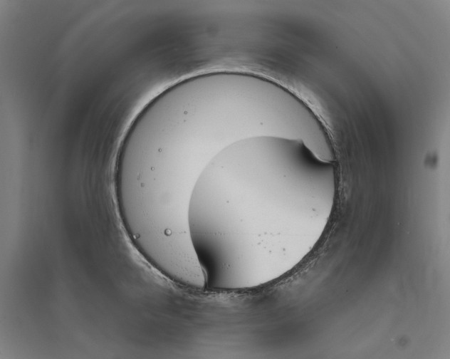 X0000094360950200711301422