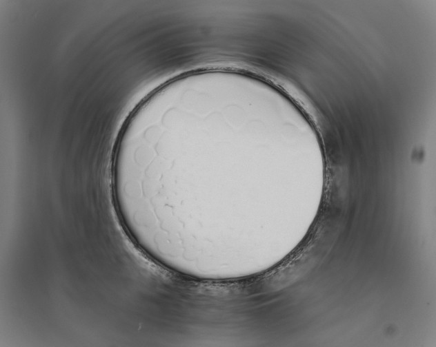 X0000094360951200711301422