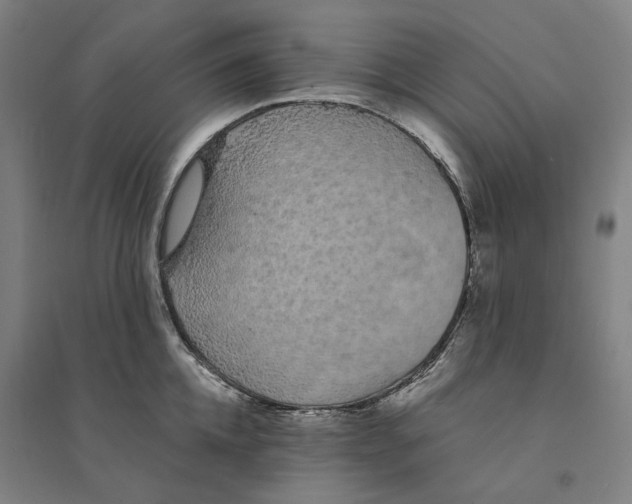 X0000094360952200711301422