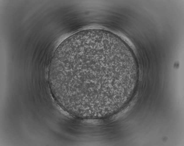 X0000094360953200711301422