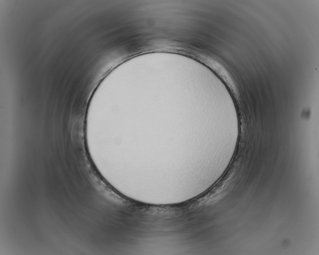 X0000094360954200711301422
