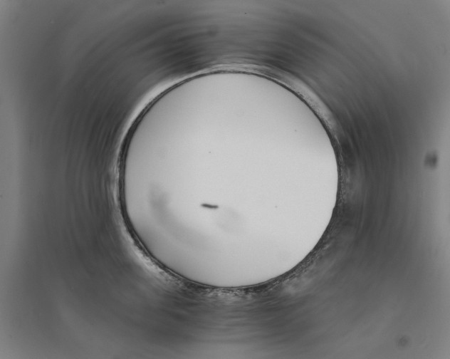 X0000094360955200711301422