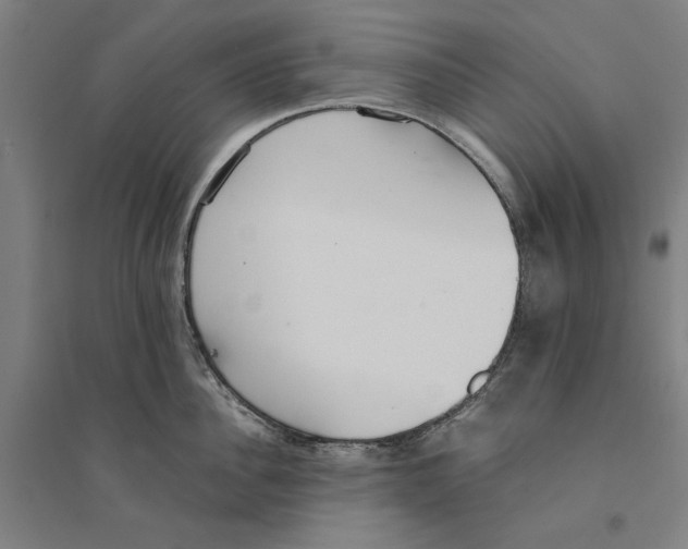 X0000094360956200711301422