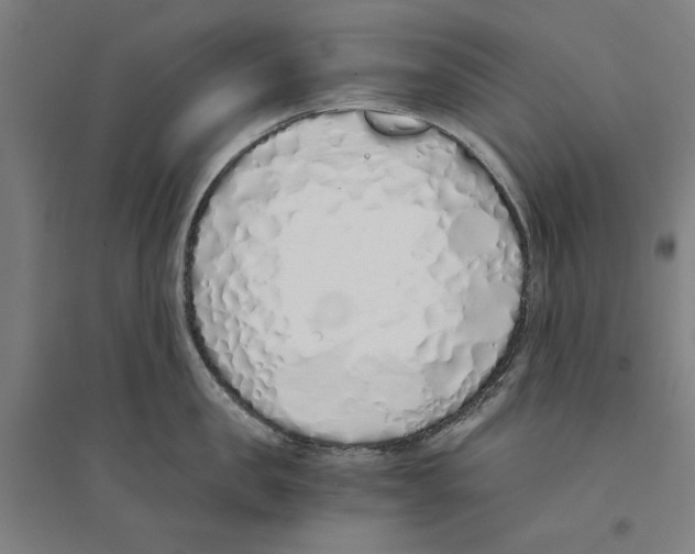 X0000094360957200711301422