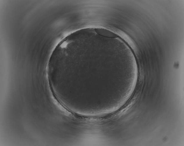 X0000094360958200711301422