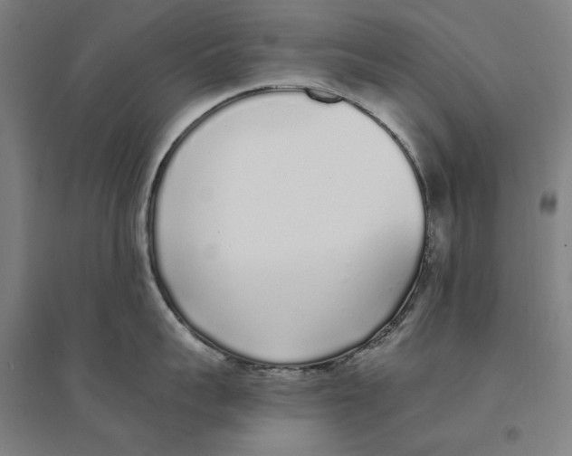 X0000094360959200711301422