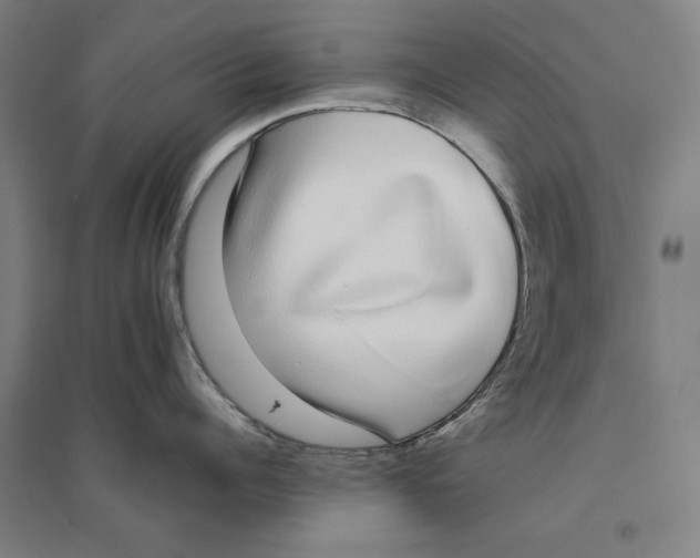 X0000094360960200711301422
