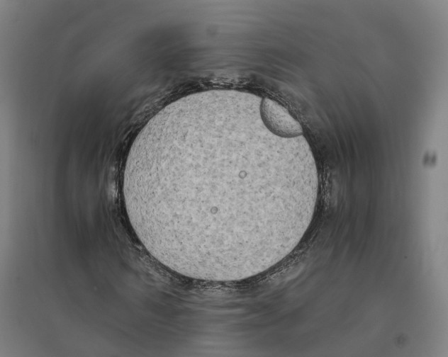 X0000094360962200711301421