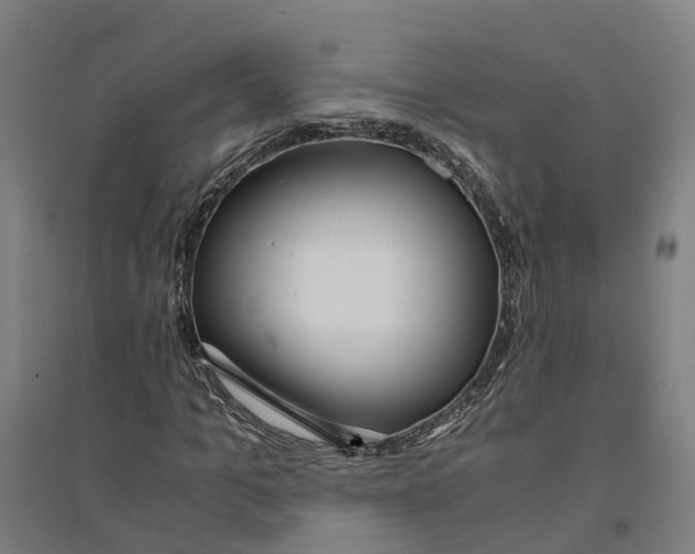 X0000094360965200711301421