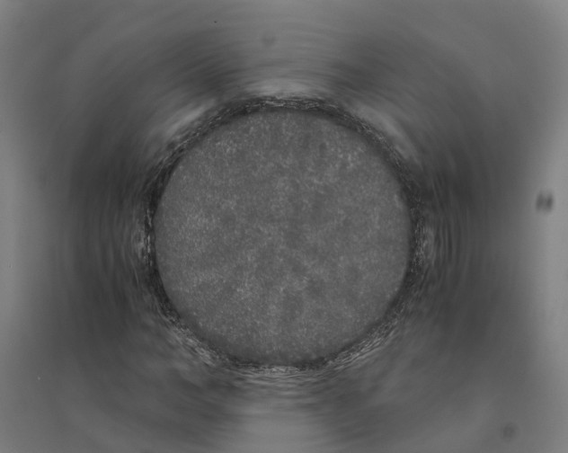 X0000094360966200711301421