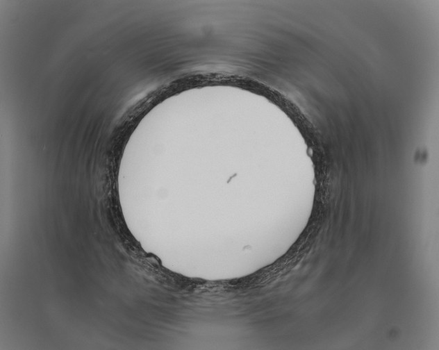 X0000094360967200711301421