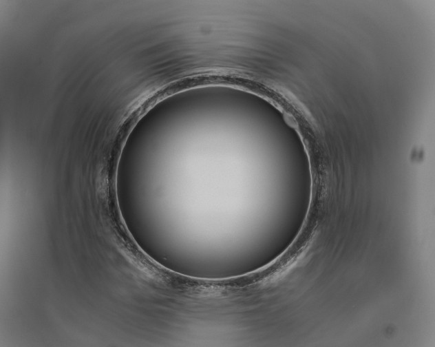X0000094360969200711301421