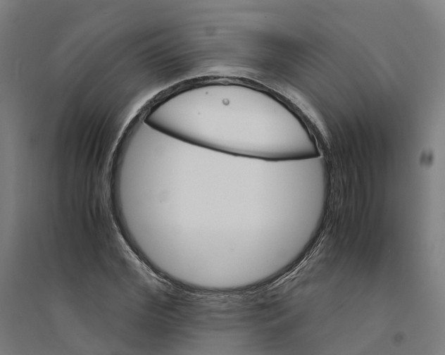 X0000094360972200711301421