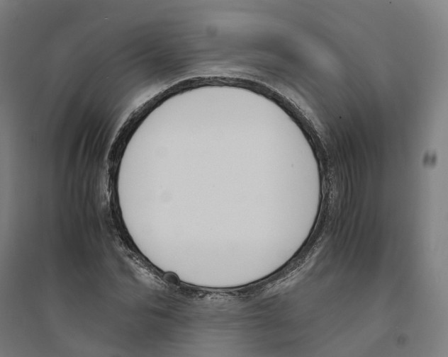X0000094360974200711301421
