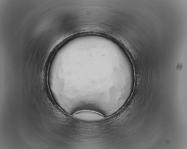 X0000094360975200711301421