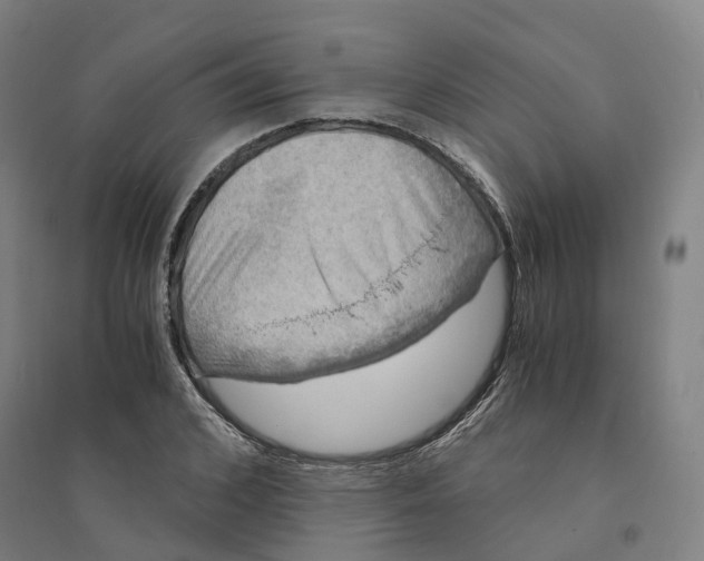 X0000094360976200711301421