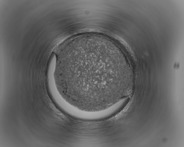 X0000094360977200711301421