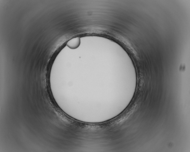 X0000094360978200711301421
