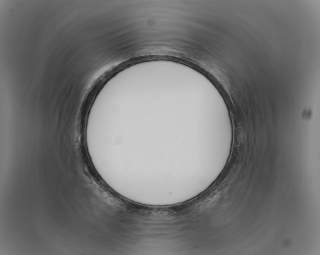 X0000094360979200711301421