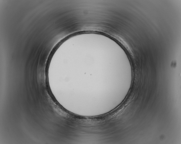 X0000094360980200711301421