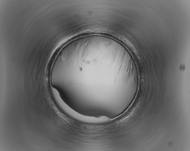 X0000094360981200711301421