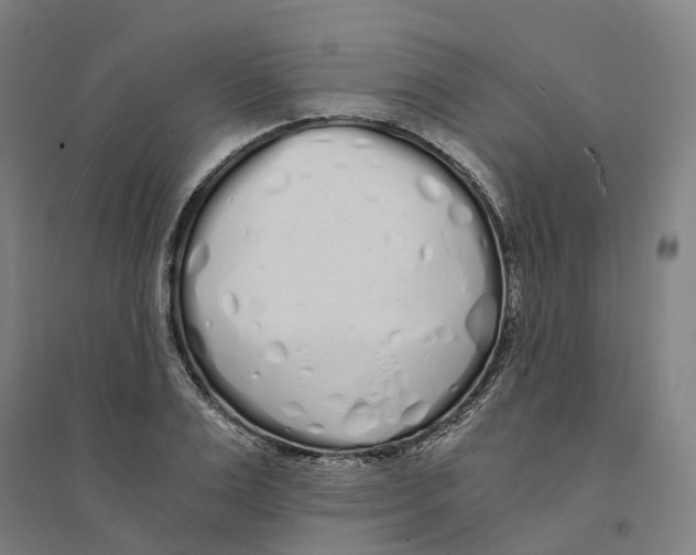 X0000094360983200711301421