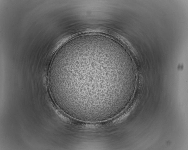 X0000094360985200711301421