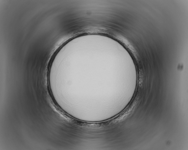 X0000094360986200711301421