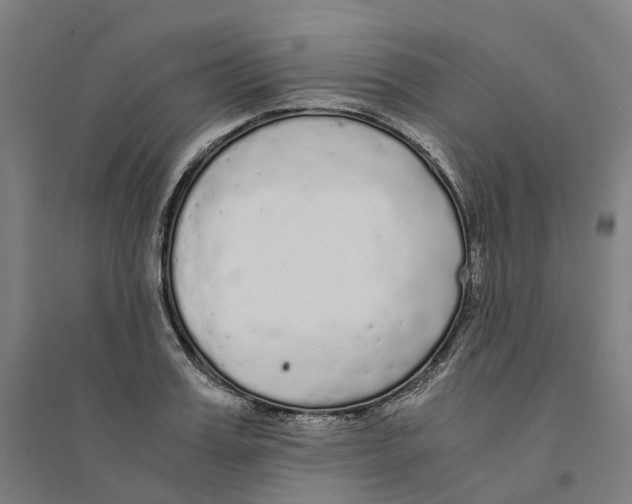 X0000094360987200711301421
