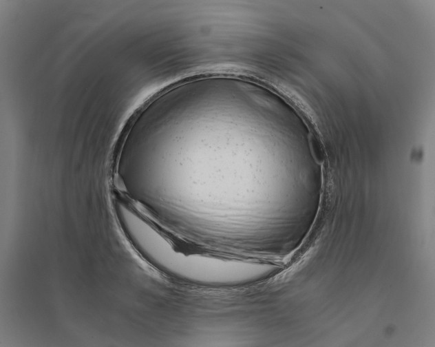 X0000094360989200711301421