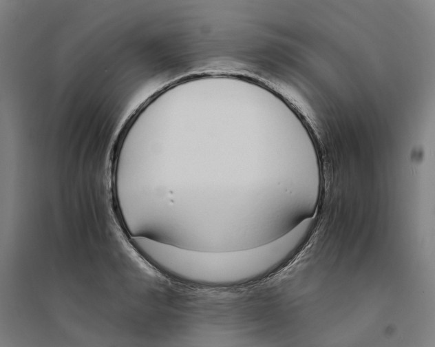 X0000094360990200711301421