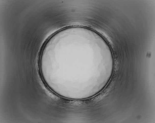 X0000094360991200711301421