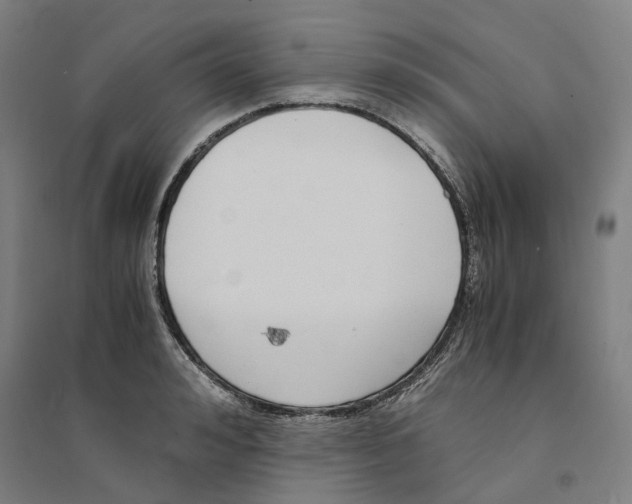 X0000094360992200711301421