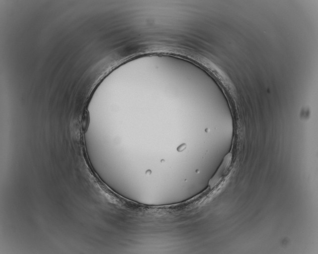 X0000094360993200711301421
