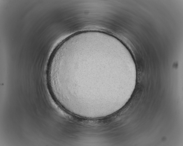 X0000094360995200711301421