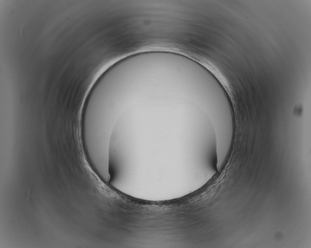 X0000094360996200711301421
