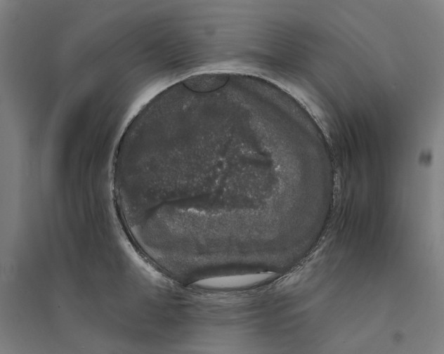 X0000094360998200711301421