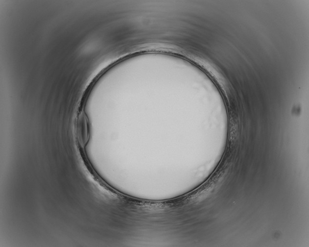 X0000094360999200711301421
