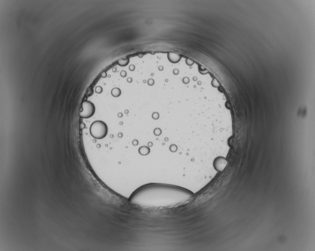 X0000094361000200711301421