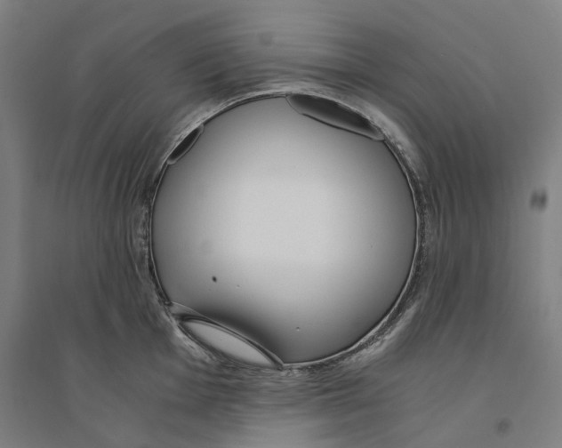 X0000094361001200711301421