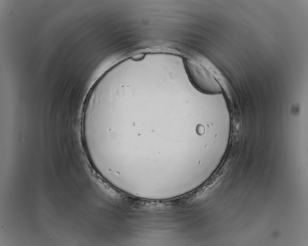 X0000094361002200711301421