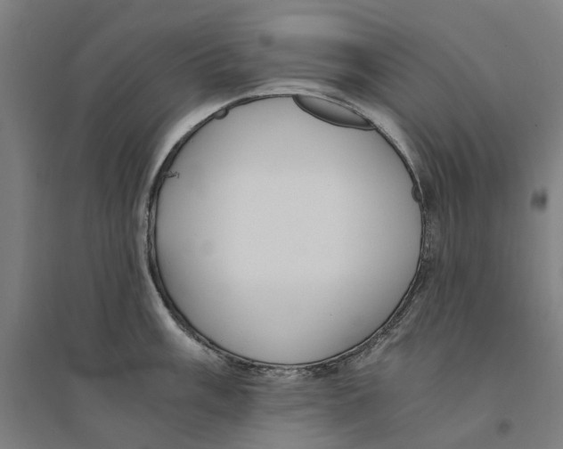 X0000094361003200711301421