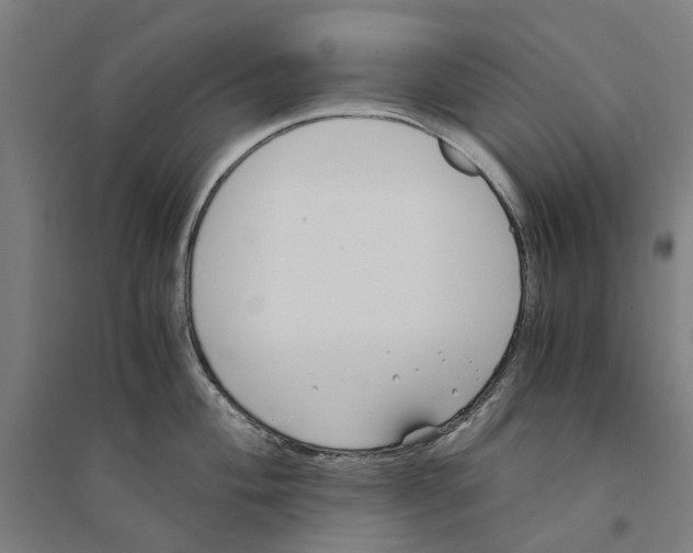 X0000094361004200711301421