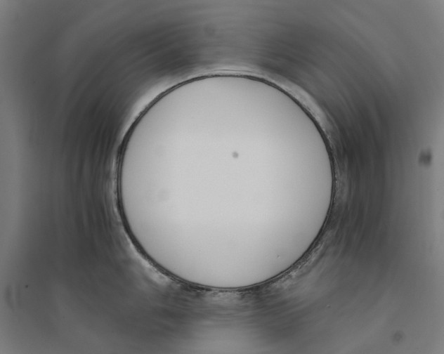 X0000094361006200711301421